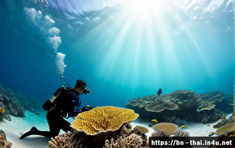 태국의 자연 및 해양 연구 - Photorealistic marine biologists conducting coral reef research in clear turquoise waters off the Th...